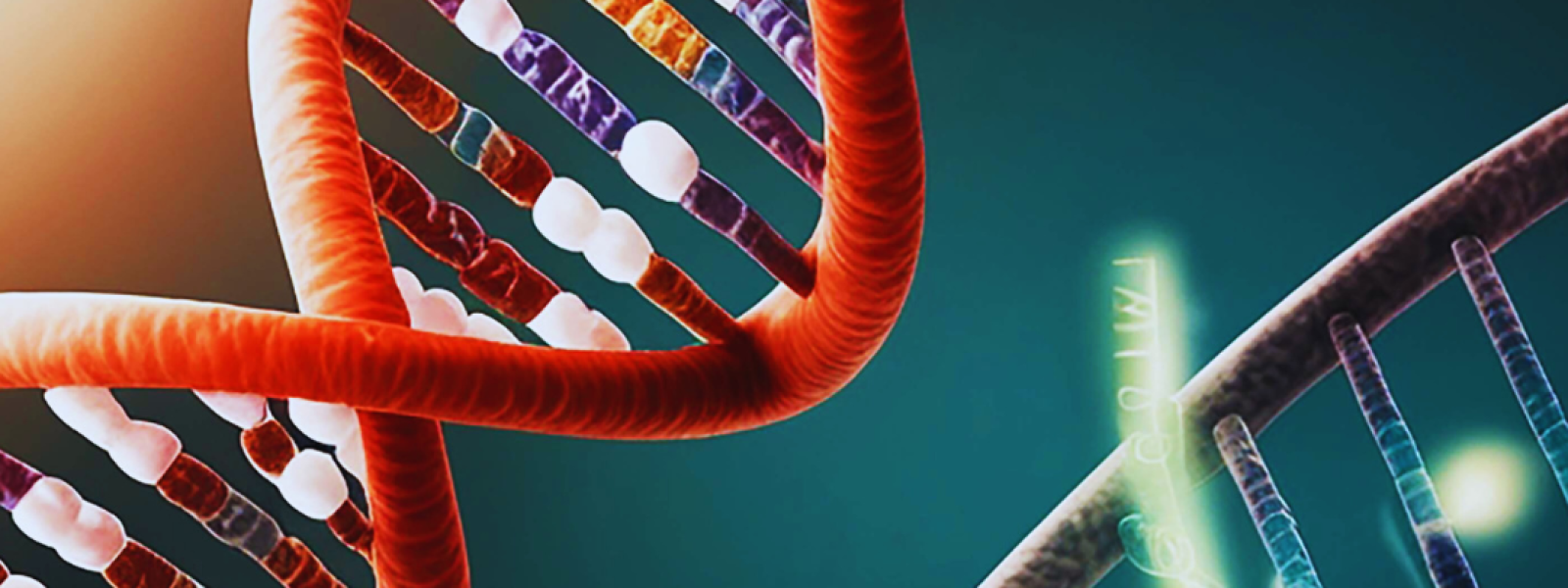 Biotech Developments That Are Redefining Recovery Innovations Transforming Healthcare Outcomes