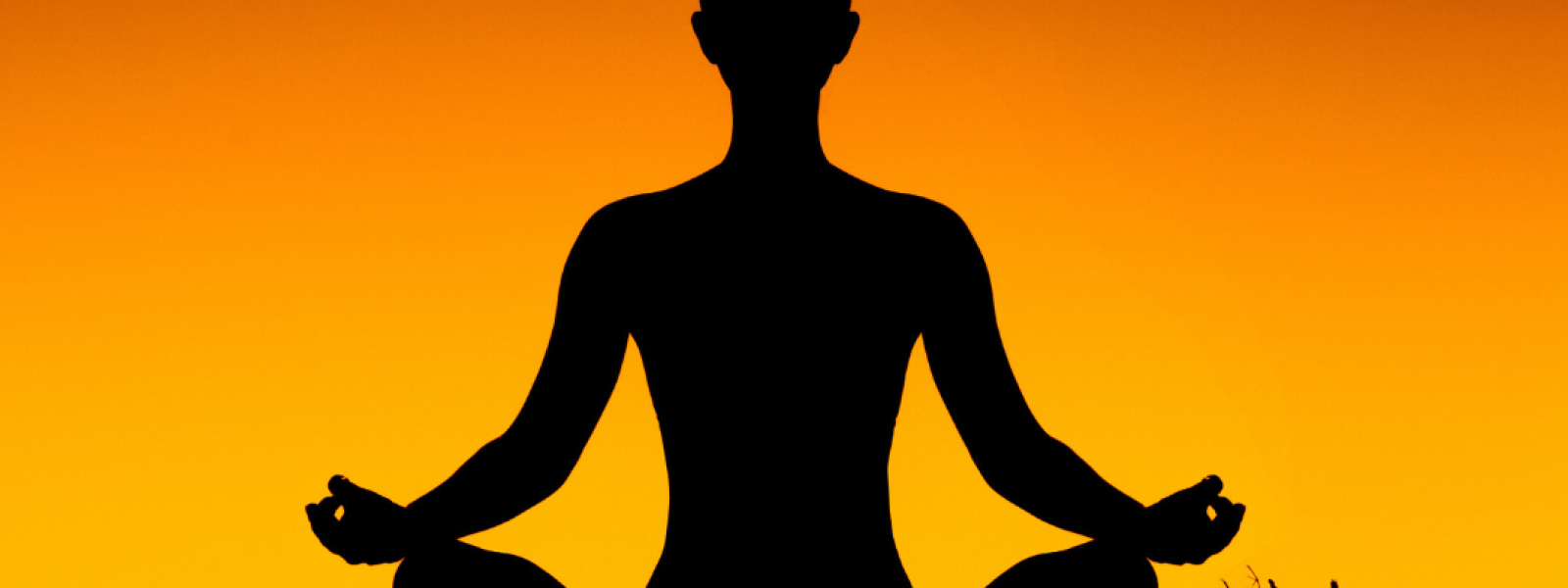 Digital Wellness Tools That Promote Mindfulness for Enhanced Focus and Calm