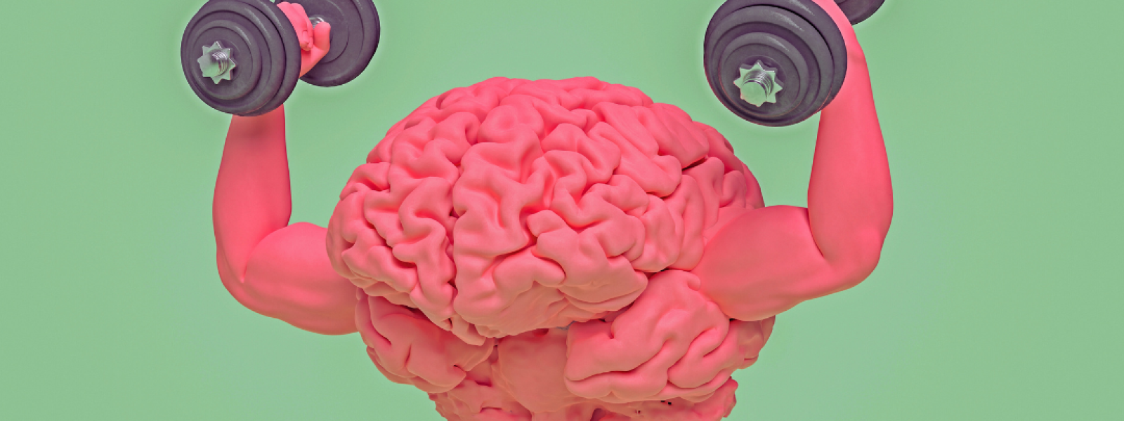 How Exercise Influences Brain Health The Science Behind Enhanced Cognitive Function