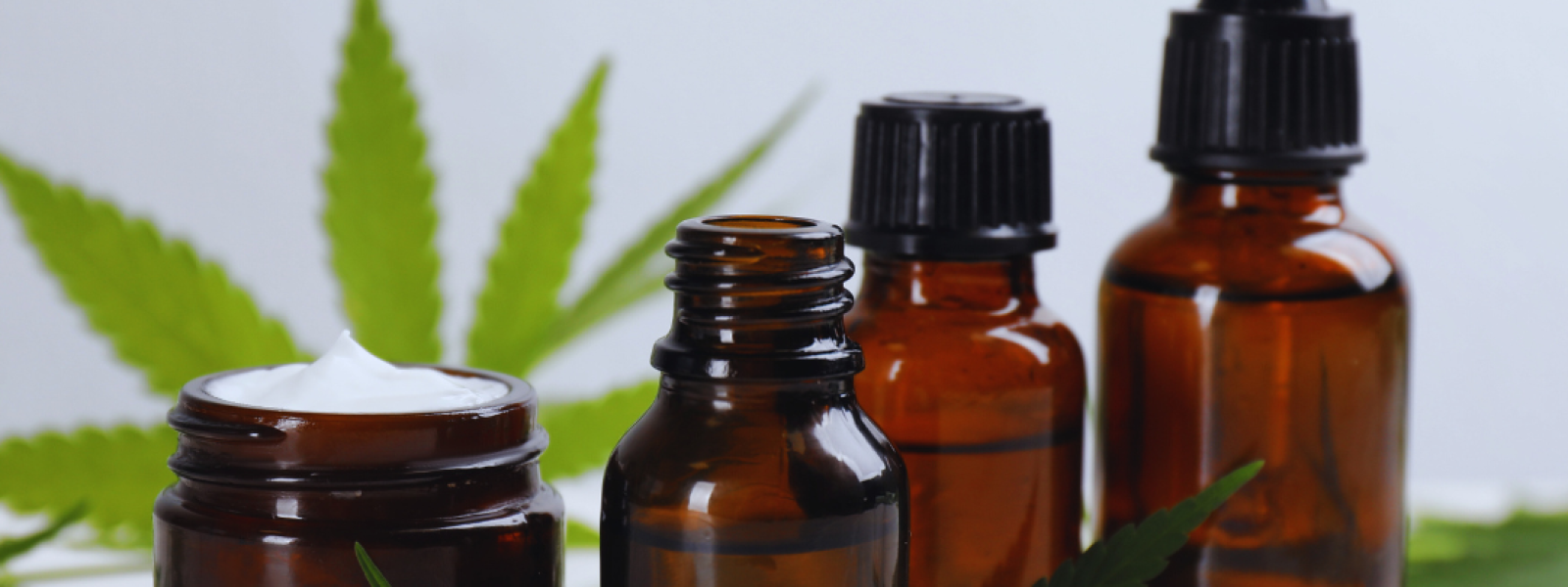 The Connection Between CBD and Wellness Exploring Its Benefits and Applications