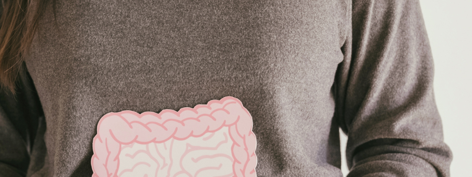 The Role of Probiotics and Prebiotics in Mental Well-Being Exploring the Gut-Brain Connection