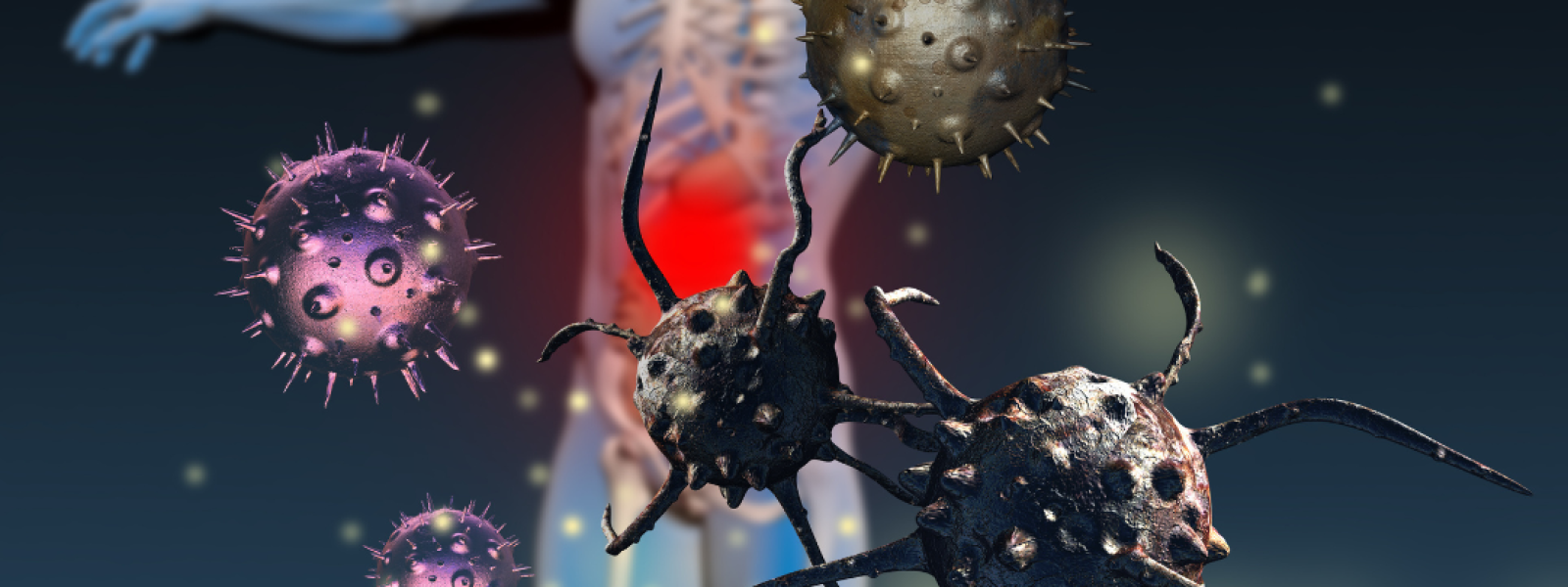 The Science Behind a Strong Immune System Explained with Key Health Insights