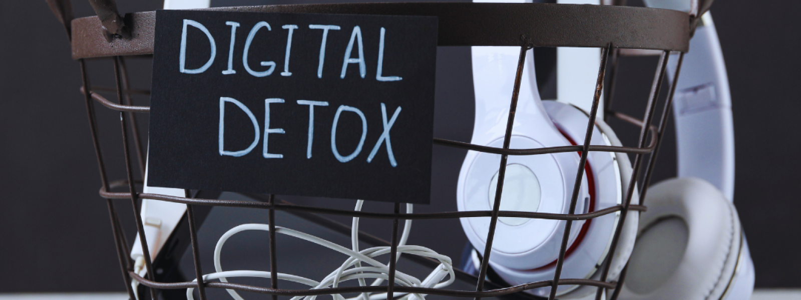 Why You Need a Digital Detox Reclaim Your Wellbeing and Focus