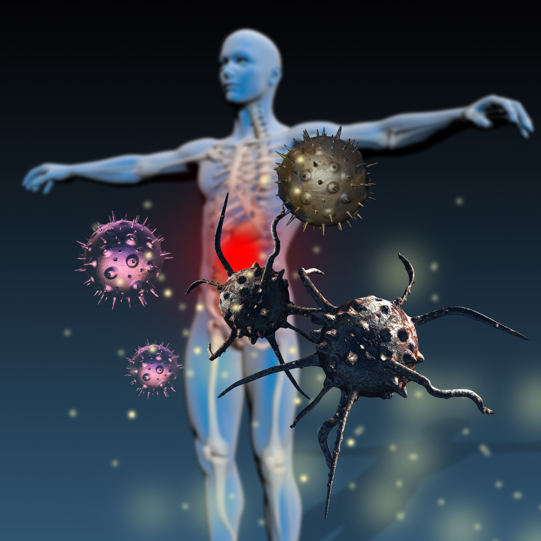 The Science Behind a Strong Immune System Explained with Key Health Insights
