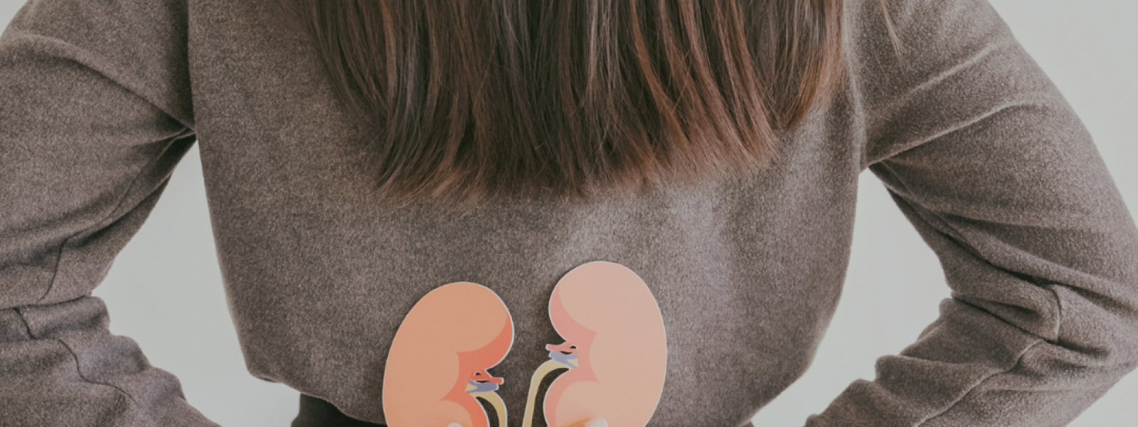 The Link Between Inflammation and Chronic Disease Understanding Causes and Prevention Strategies